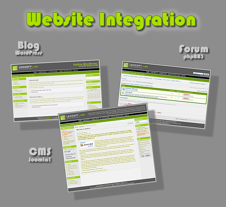 Web Site Integration